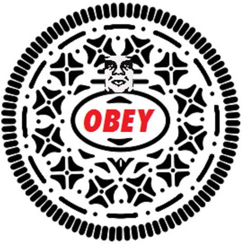 OBEYreObey-large_jpg_scaled_500
